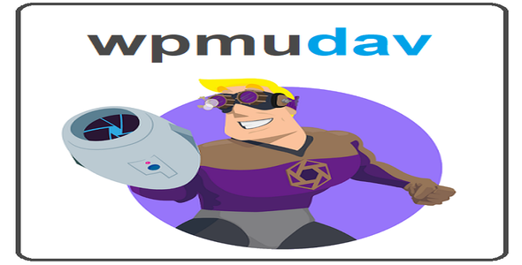 WPMU DEV Snapshot Pro 4.30.0