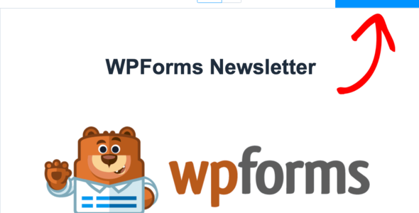 Bản tin WP Forms Addon 1.3.4