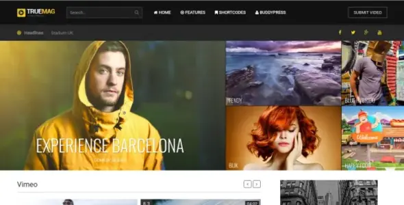 True Mag 4.3.10 – Giao diện WordPress cho Video và Tạp chí