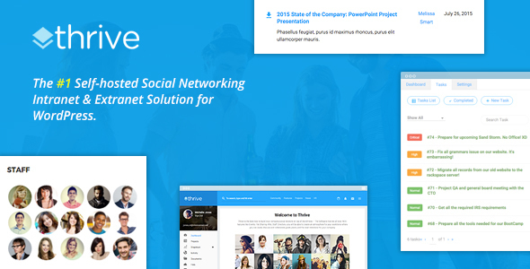 Thrive – Giao diện WordPress dành cho cộng đồng và mạng nội bộ 3.1.11