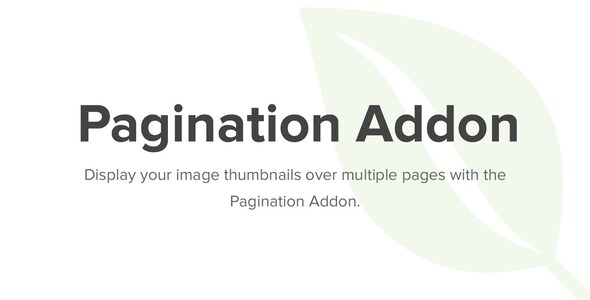 Addon phân trang thư viện Envira 1.8.6