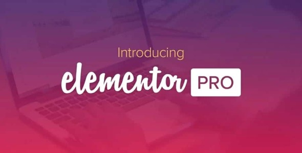Elementor Pro 3.30.0 + Plugin trang đích Elementorism cho WordPress