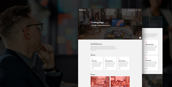 CSS Igniter Business3ree 2.6.3
